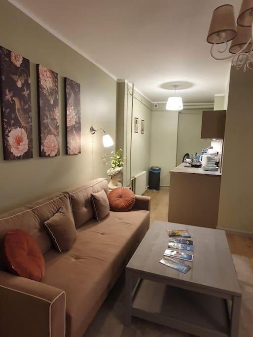 Stylish Apartment In Old Town ריגה מראה חיצוני תמונה